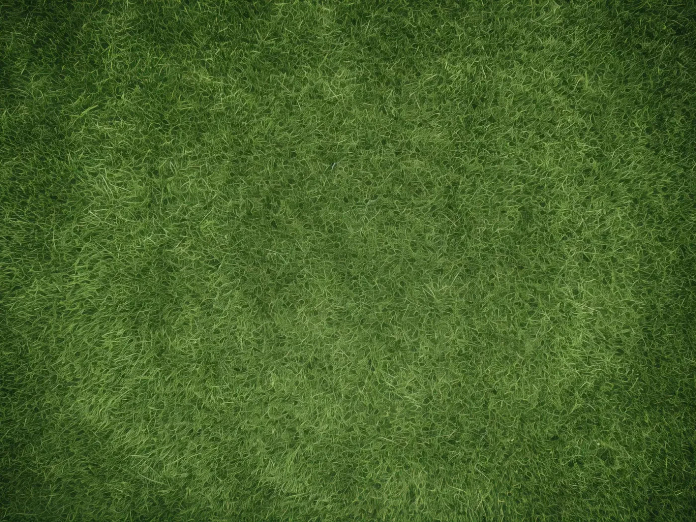 Moss 68X5 Fleece ( 80 X 60 Inch ) Backdrop