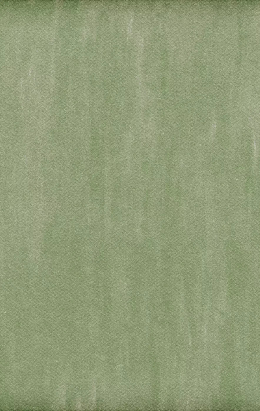 Mossy 10X16 Ultracloth ( 120 X 192 Inch ) Backdrop