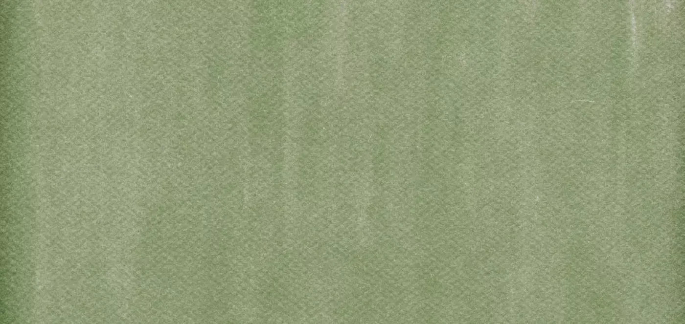 Mossy 16X8 Ultracloth ( 192 X 96 Inch ) Backdrop