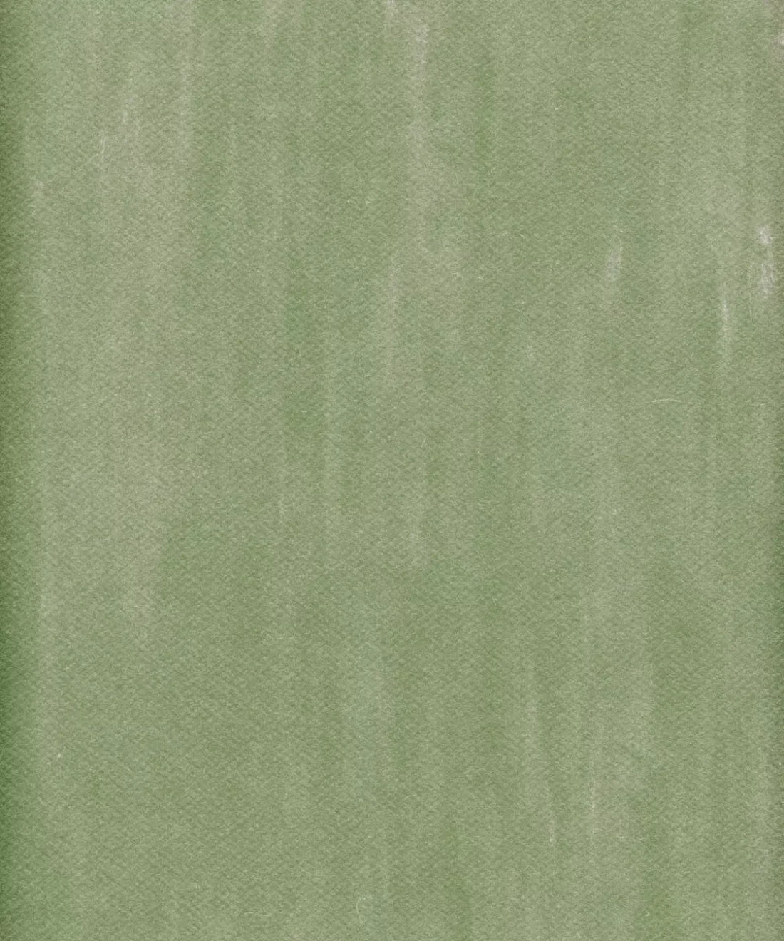 Green Classic and Masters Backdrop for Photography