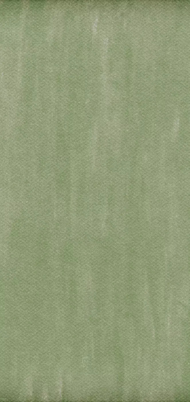 Mossy 8X16 Ultracloth ( 96 X 192 Inch ) Backdrop