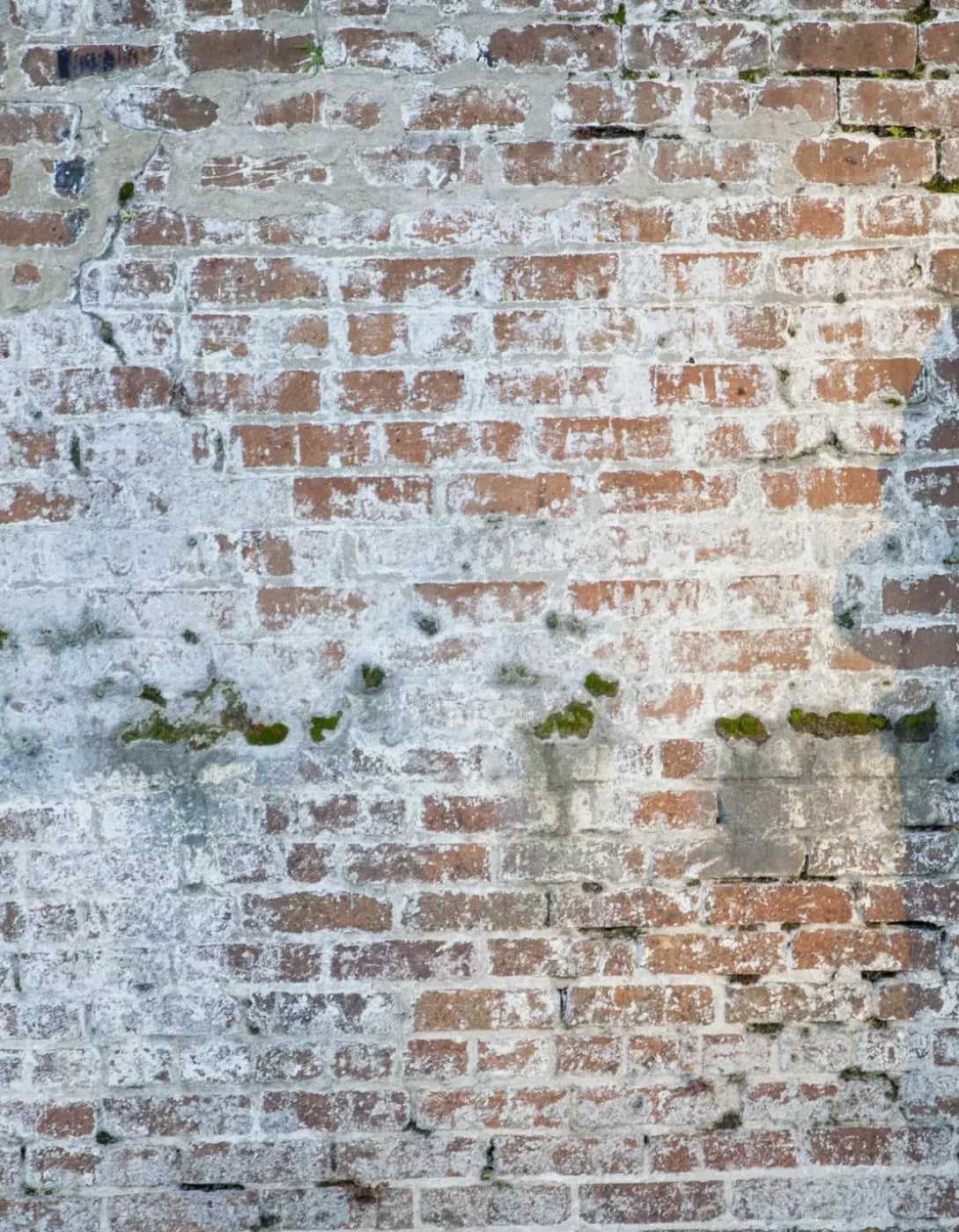 Mossy Brick 6X8 Fleece ( 72 X 96 Inch ) Backdrop