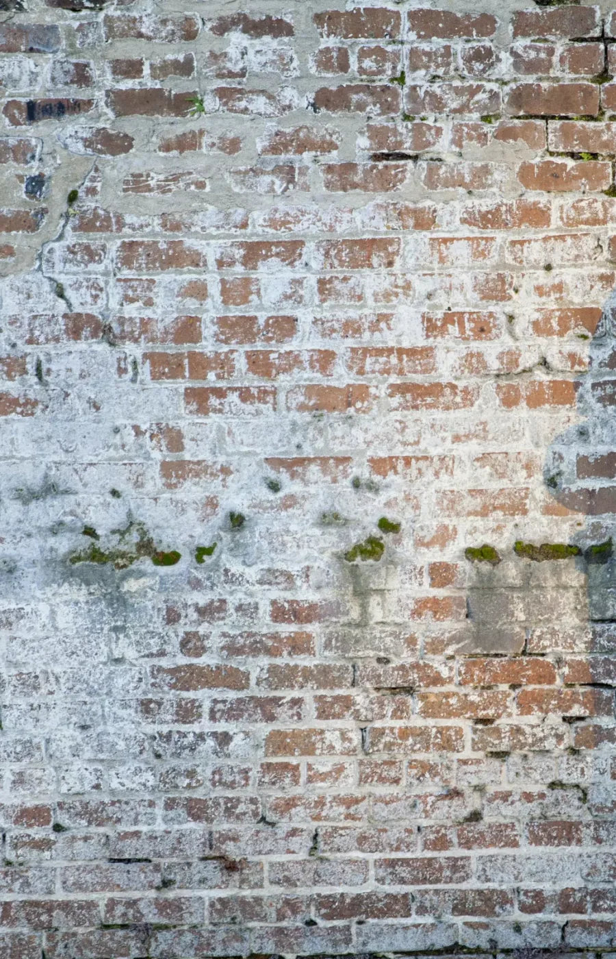 Mossy Brick 8X12 Ultracloth ( 96 X 144 Inch ) Backdrop