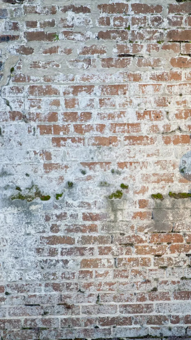 Mossy Brick 8X14 Ultracloth ( 96 X 168 Inch ) Backdrop
