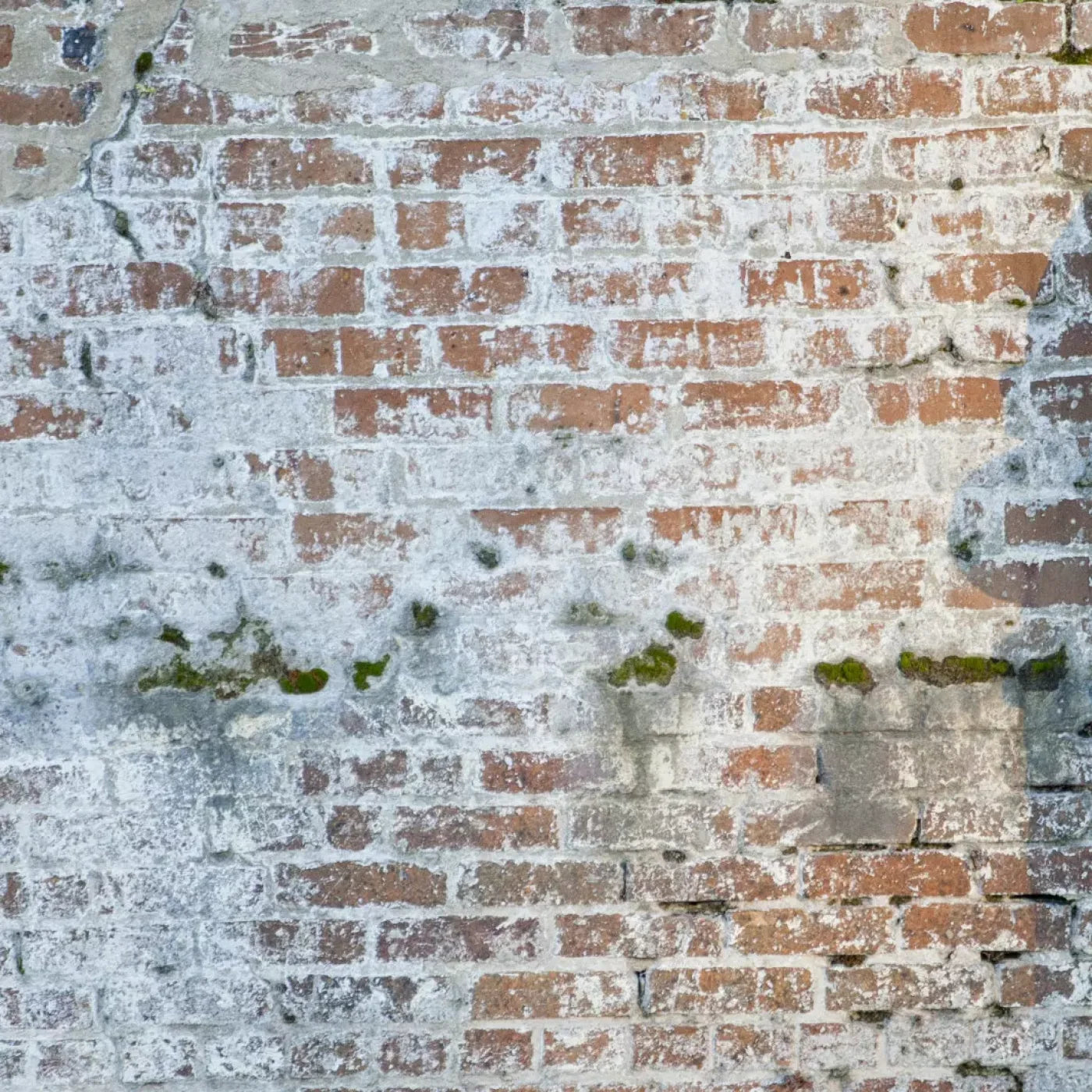 Mossy Brick 8X8 Fleece ( 96 X Inch ) Backdrop