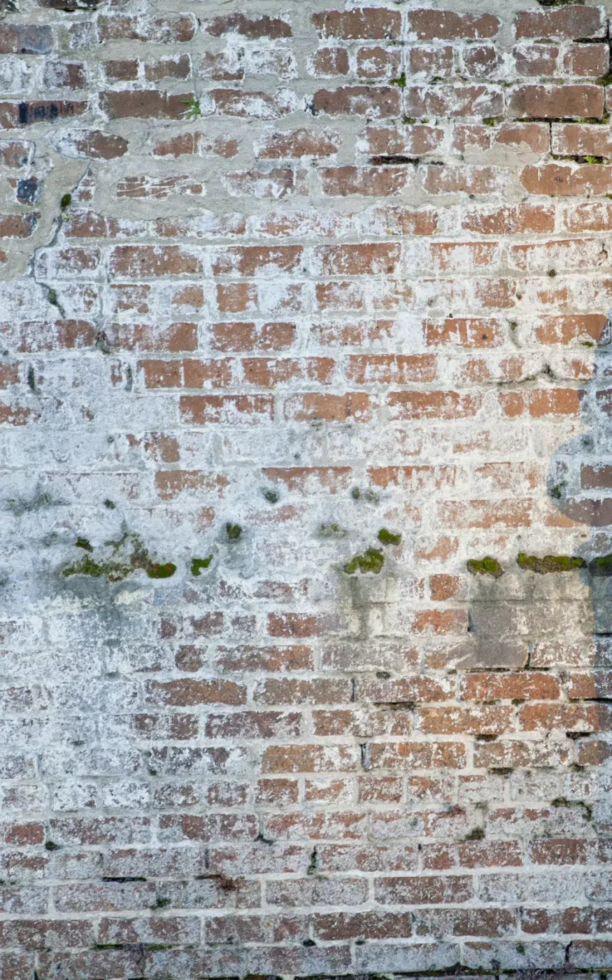 Mossy Brick 9X14 Ultracloth ( 108 X 168 Inch ) Backdrop