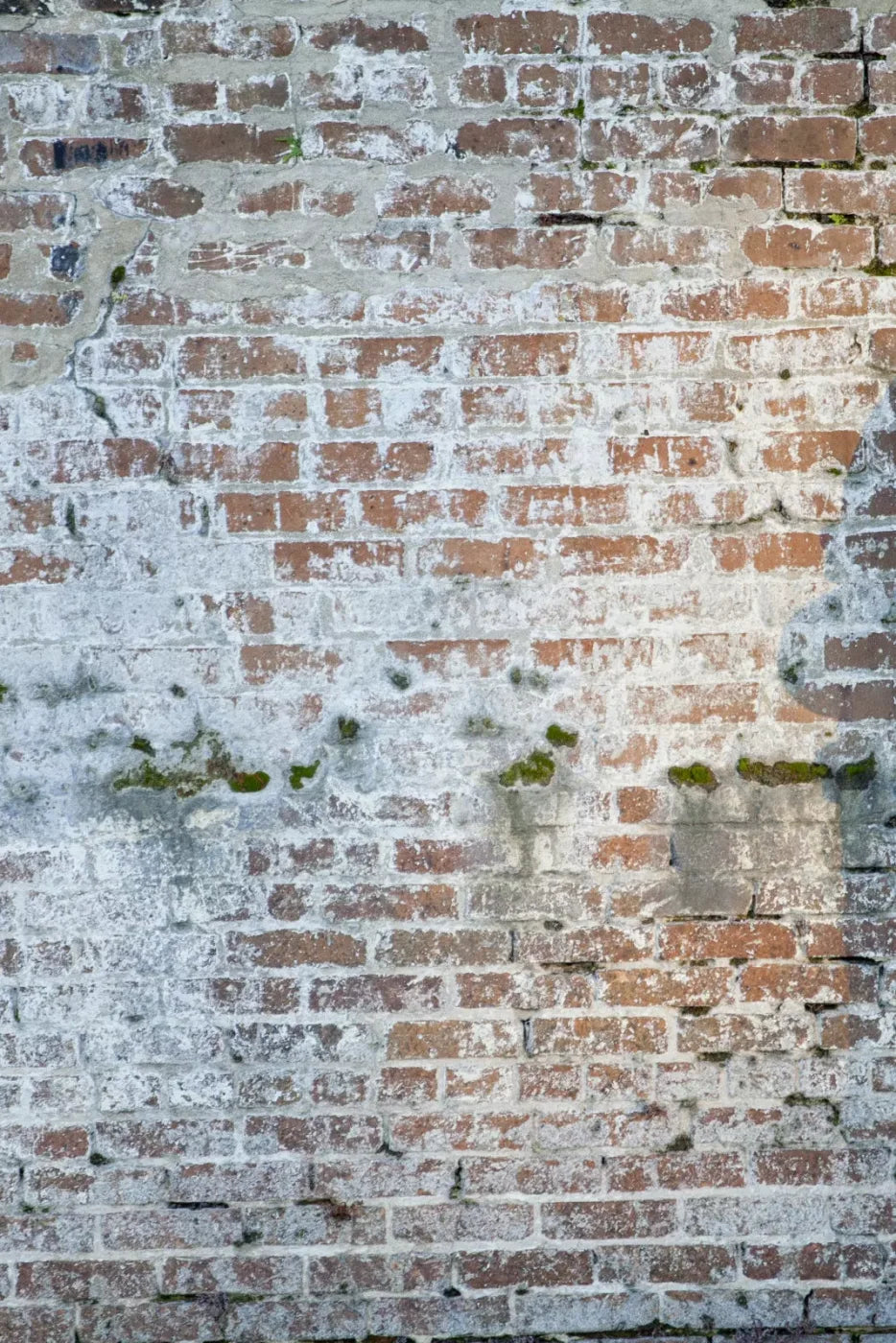 Mossy Brick Backdrop