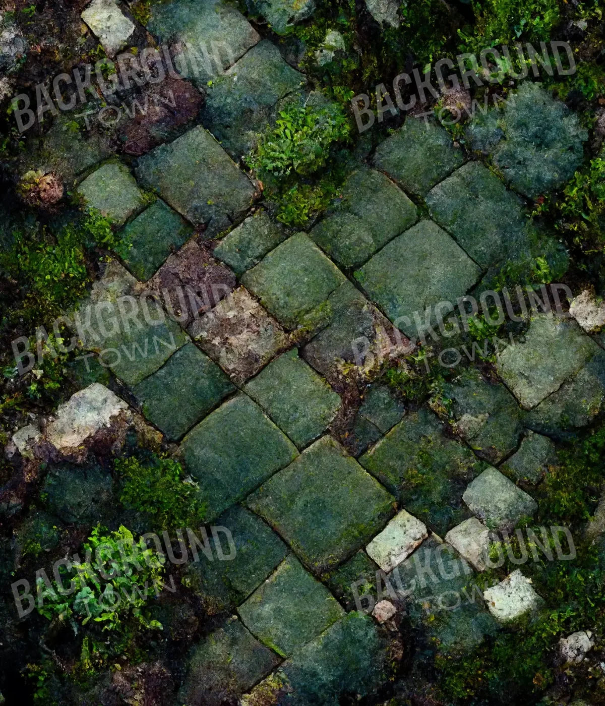 Mossy Flagstone 10X12 Ultracloth ( 120 X 144 Inch ) Backdrop