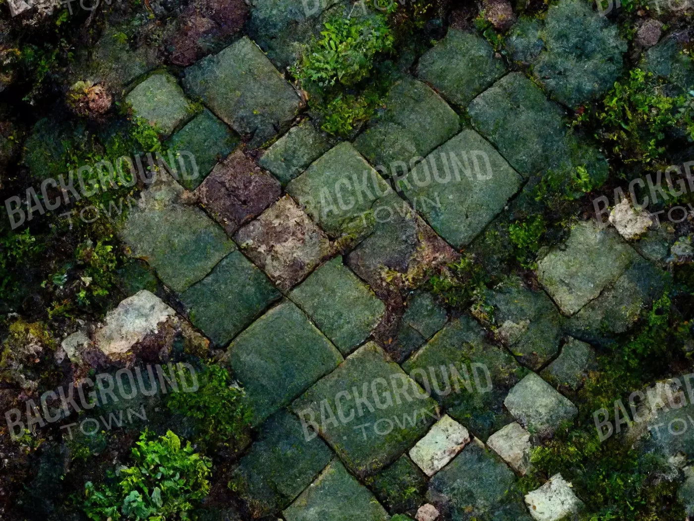 Mossy Flagstone 10X8 Fleece ( 120 X 96 Inch ) Backdrop