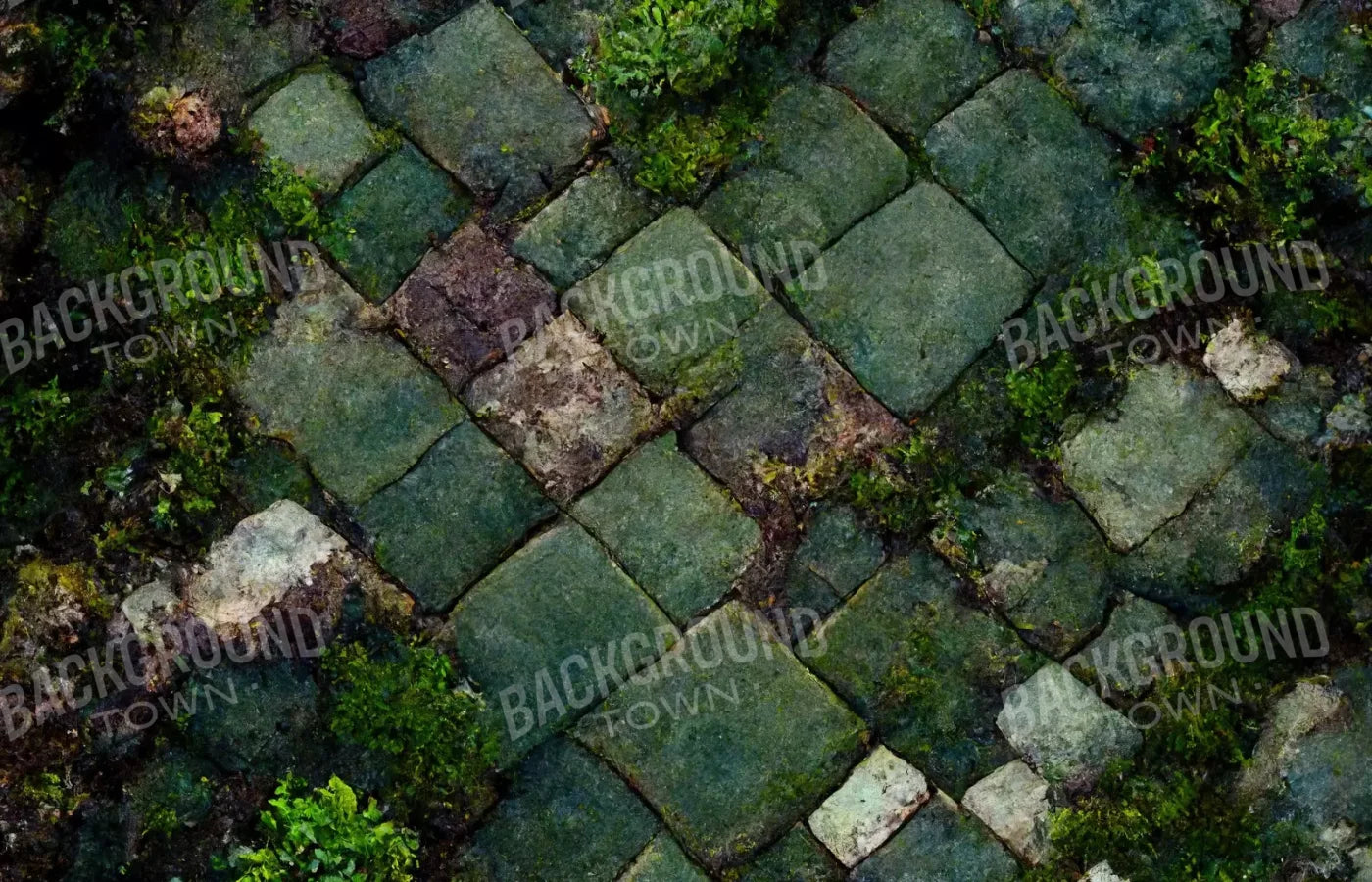 Mossy Flagstone 12X8 Ultracloth ( 144 X 96 Inch ) Backdrop