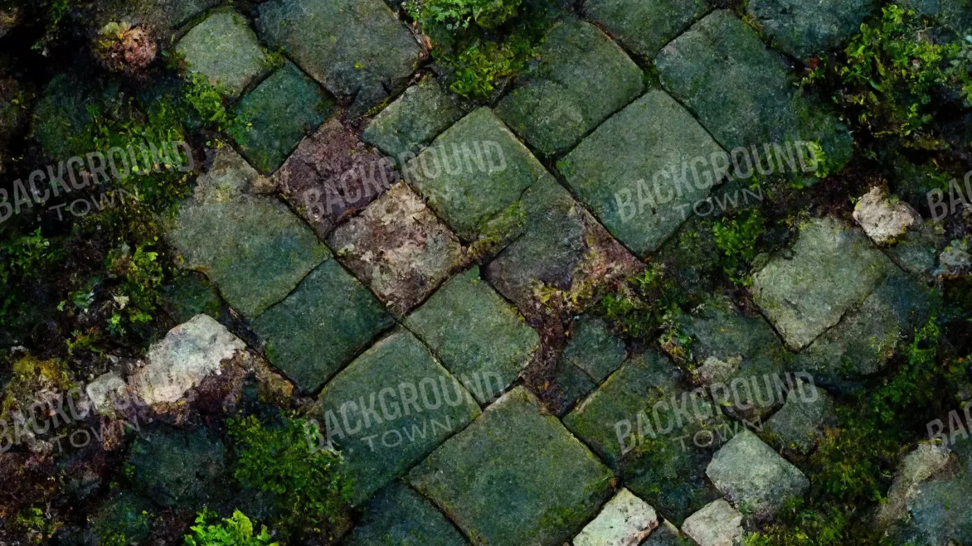 Mossy Flagstone 14X8 Ultracloth ( 168 X 96 Inch ) Backdrop