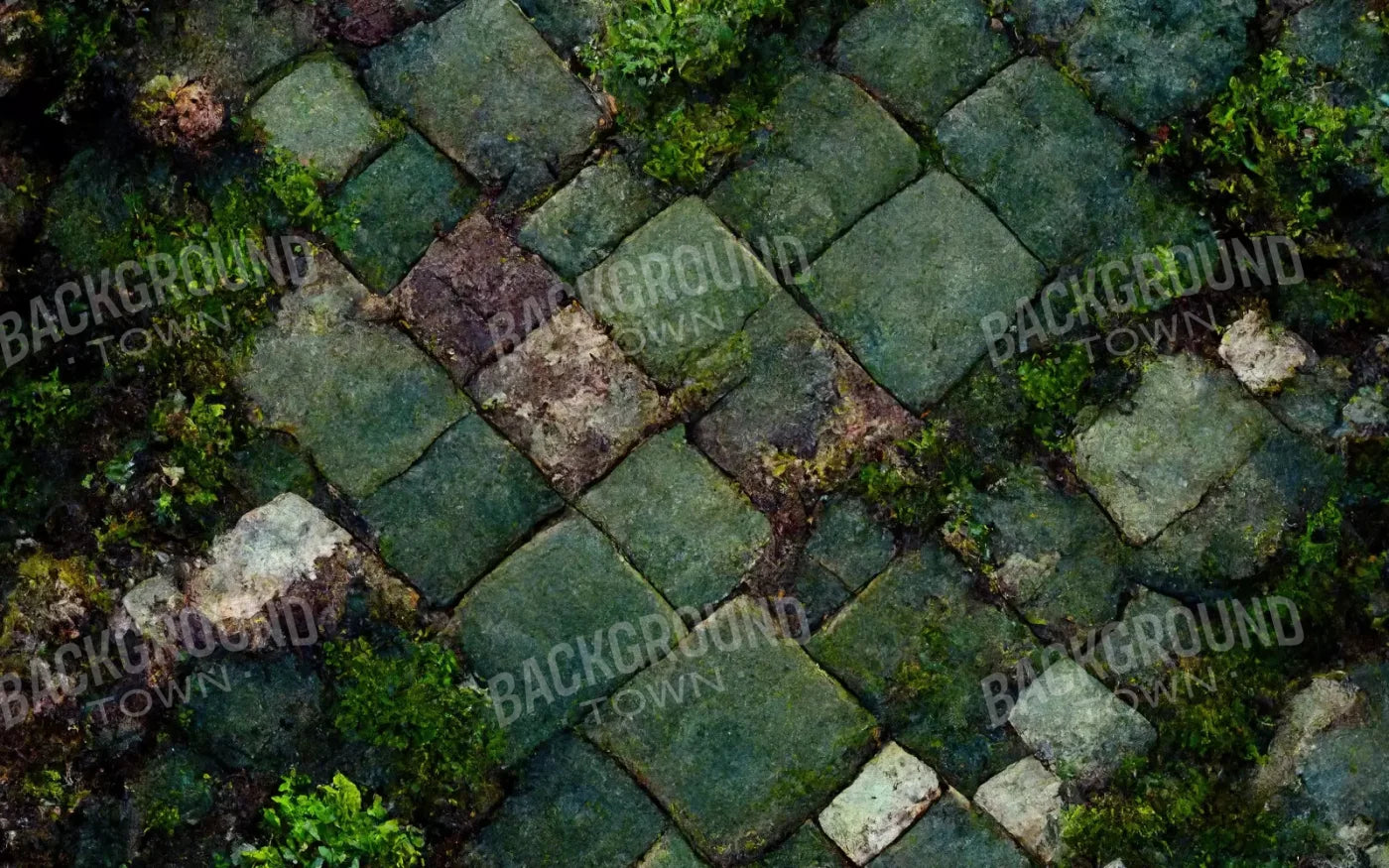 Mossy Flagstone 14X9 Ultracloth ( 168 X 108 Inch ) Backdrop