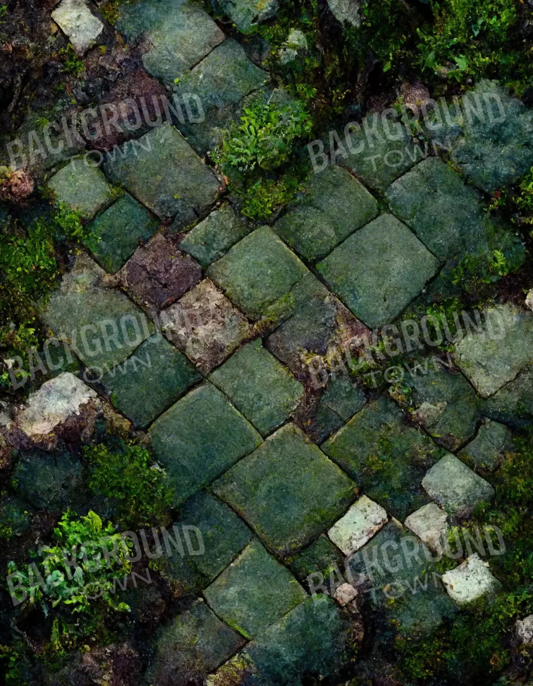 Mossy Flagstone 6X8 Fleece ( 72 X 96 Inch ) Backdrop