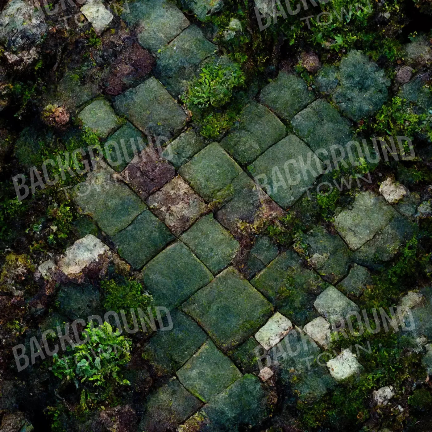 Mossy Flagstone 8X8 Fleece ( 96 X Inch ) Backdrop