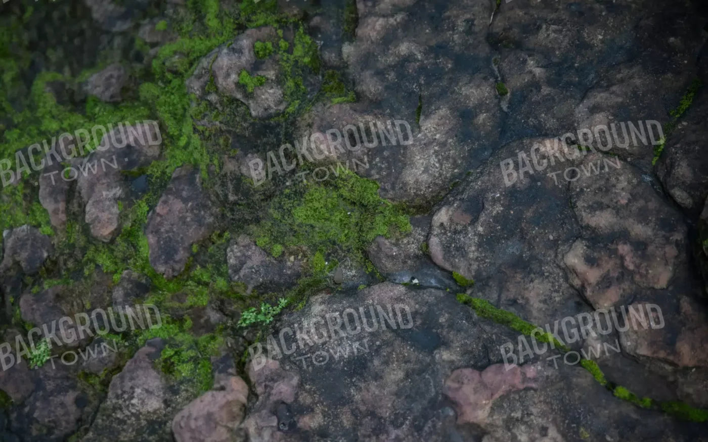 Mossyrock 16’X10’ Ultracloth (192 X 120 Inch) Backdrop