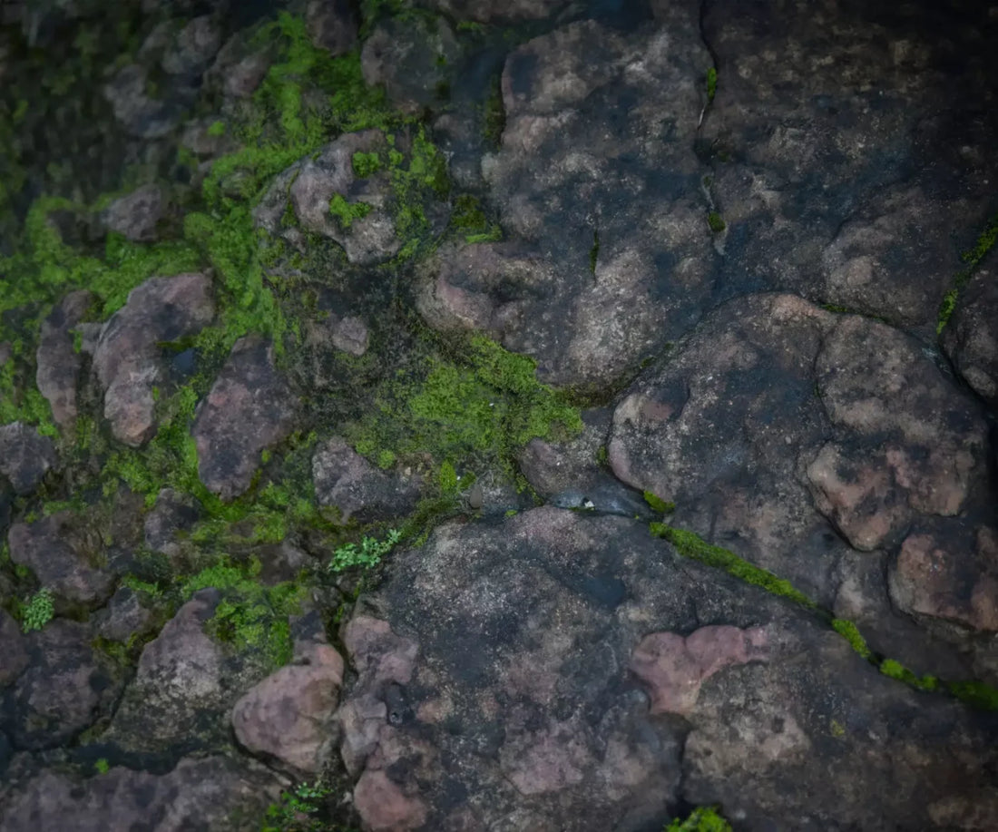 Mossyrock 5’X4’2 Fleece (60 X 50 Inch) Backdrop