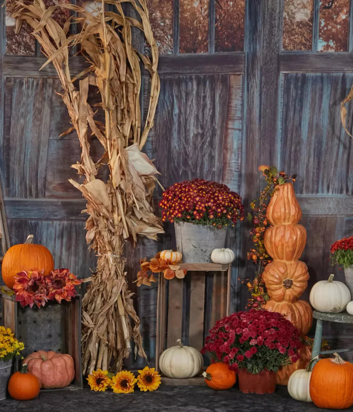 Pumpkin Patch 10X12 Ultracloth ( 120 X 144 Inch ) Backdrop