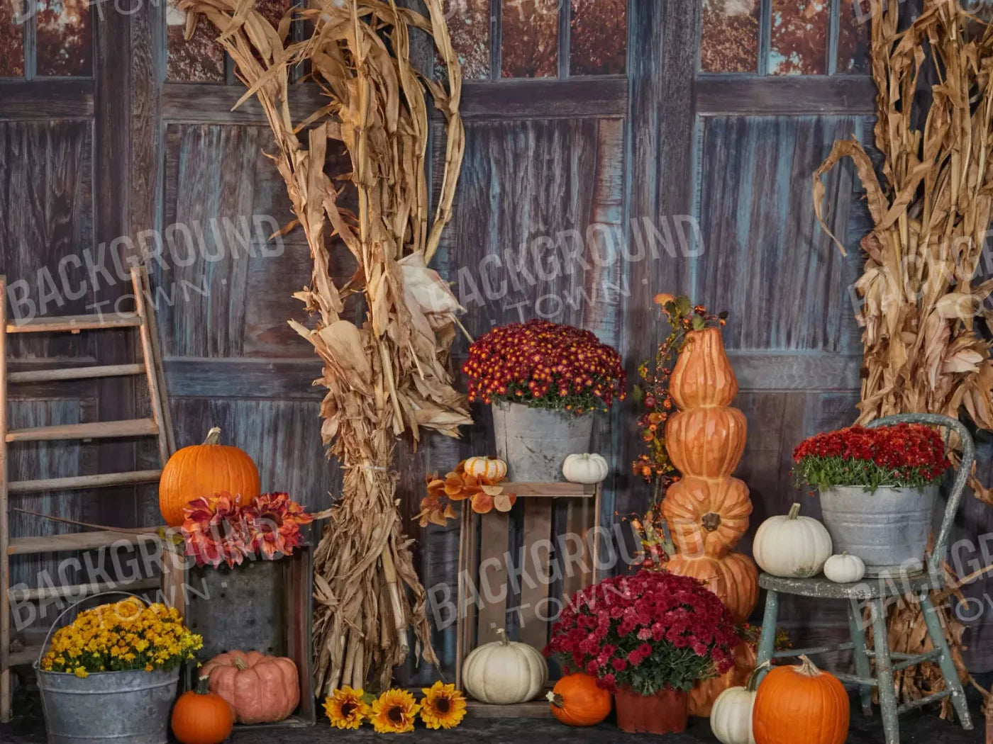 Pumpkin Patch 10X8 Fleece ( 120 X 96 Inch ) Backdrop