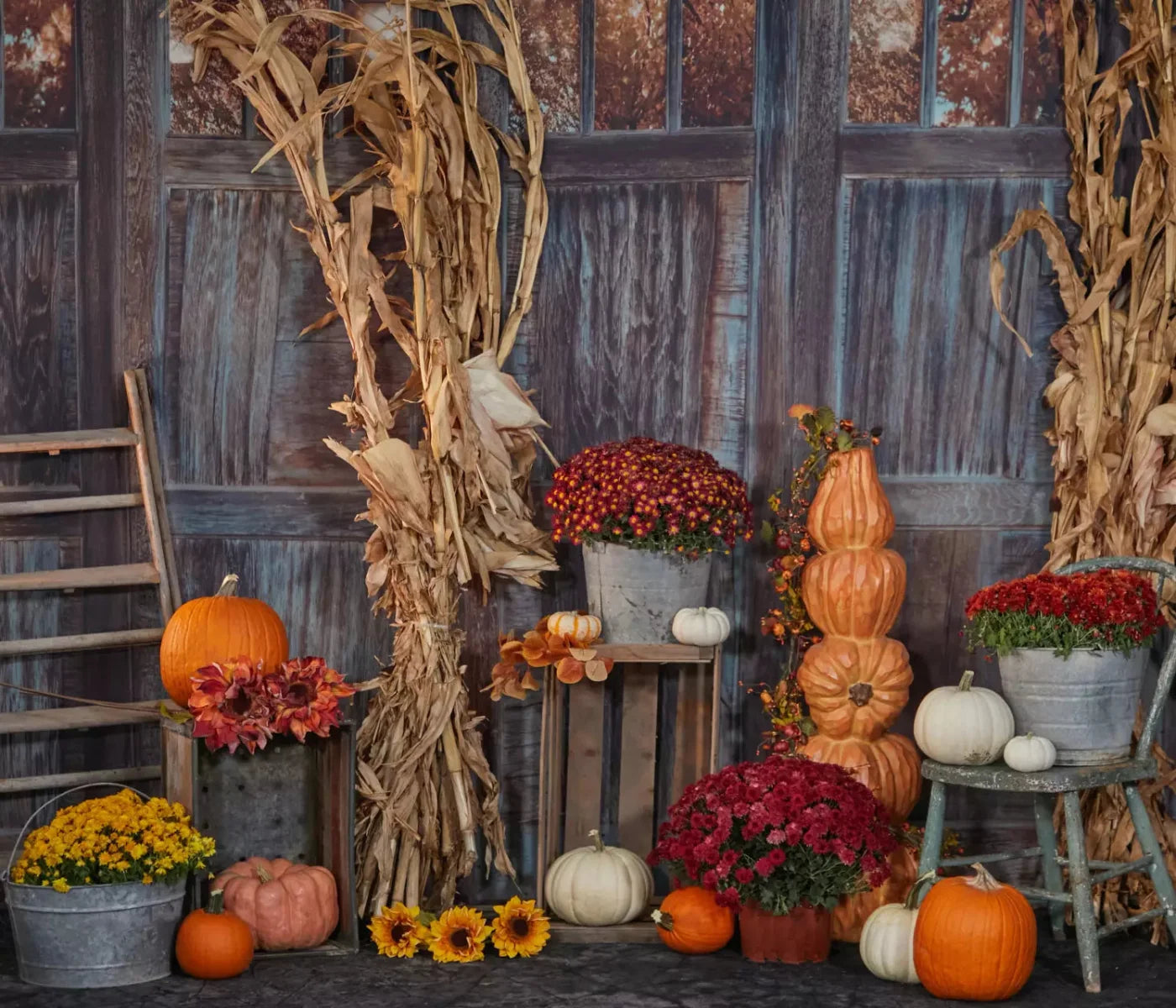 Pumpkin Patch 12X10 Ultracloth ( 144 X 120 Inch ) Backdrop