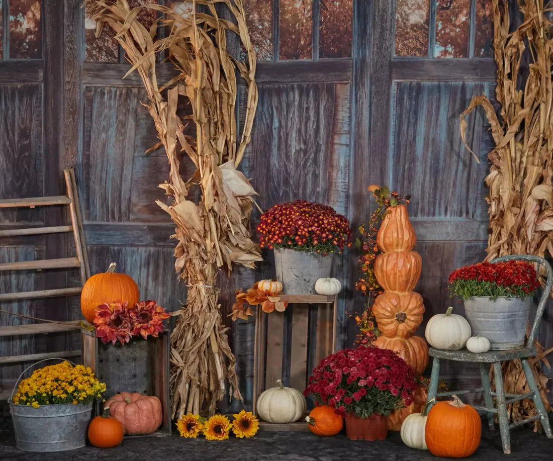 Pumpkin Patch 5X42 Fleece ( 60 X 50 Inch ) Backdrop