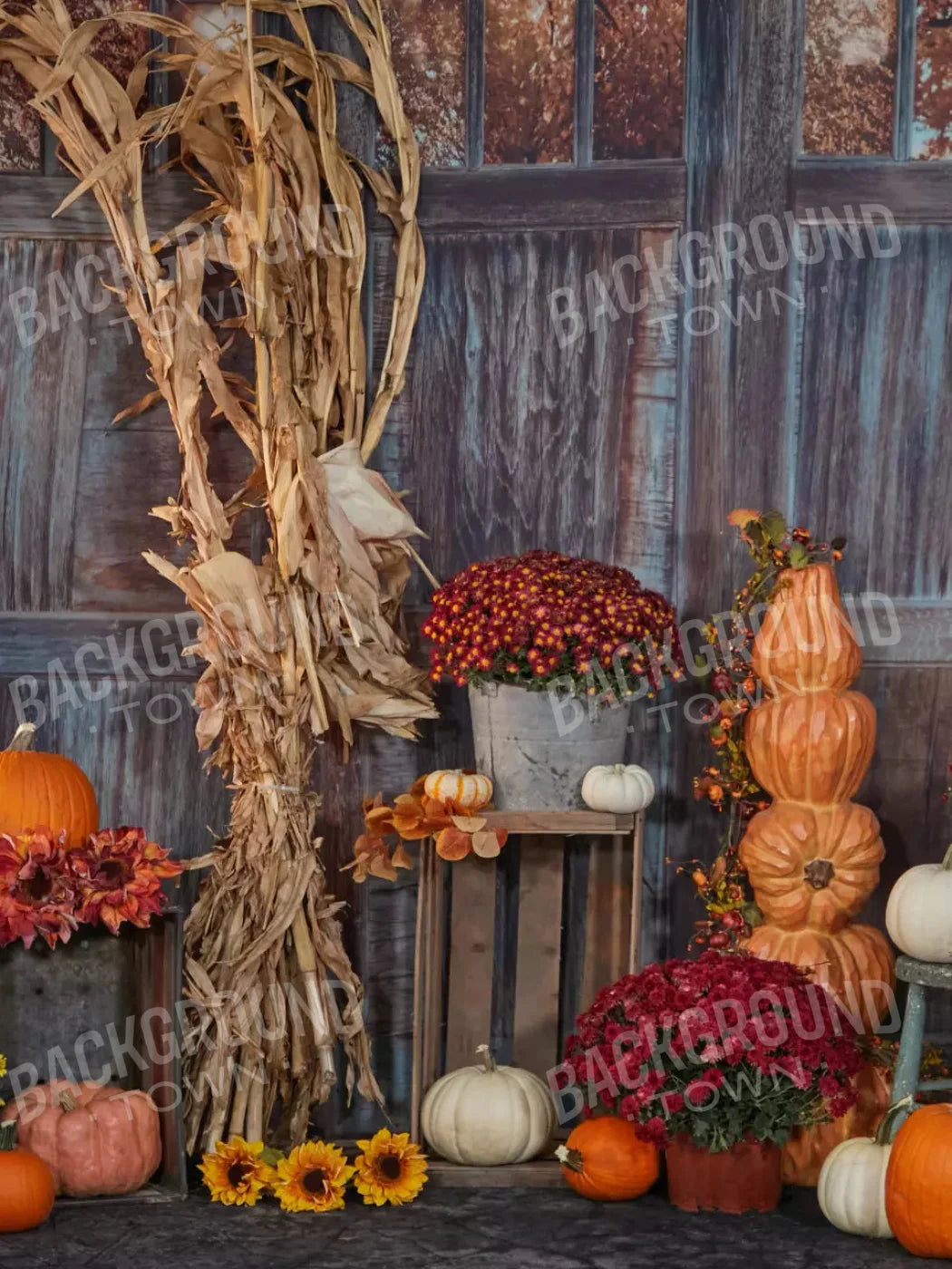 Pumpkin Patch 5X68 Fleece ( 60 X 80 Inch ) Backdrop