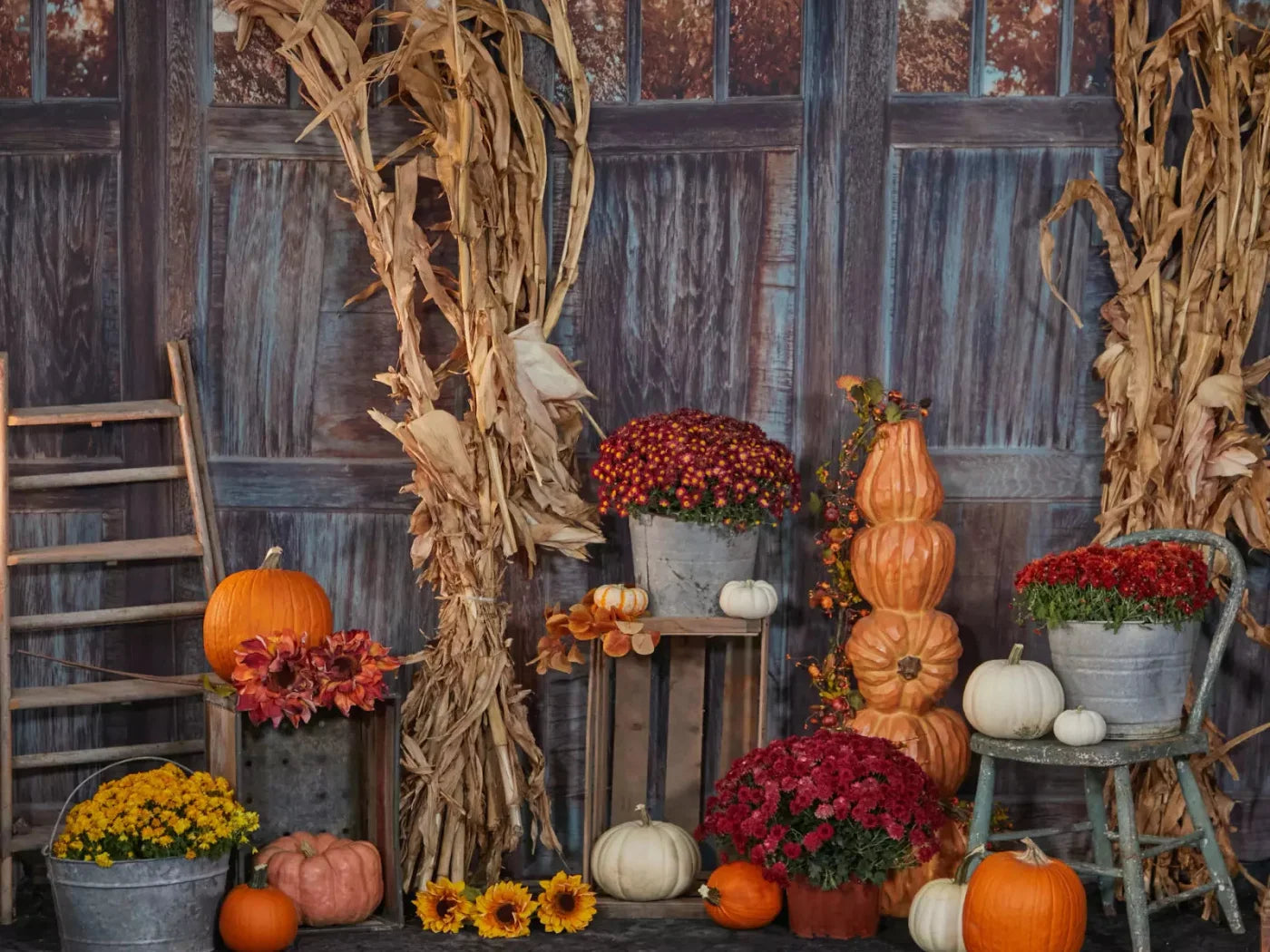 Pumpkin Patch 68X5 Fleece ( 80 X 60 Inch ) Backdrop