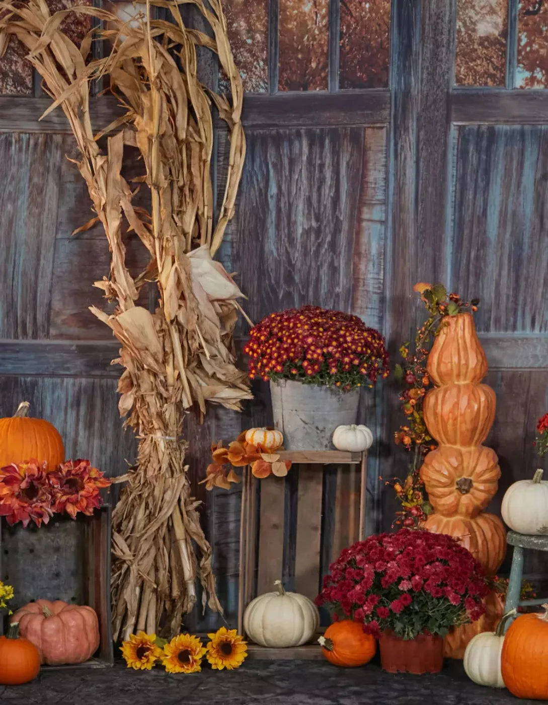 Pumpkin Patch 6X8 Fleece ( 72 X 96 Inch ) Backdrop