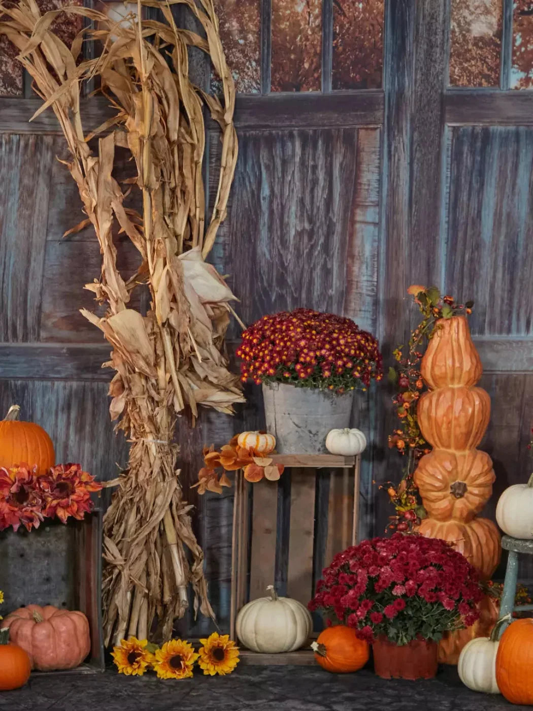 Pumpkin Patch 8X10 Fleece ( 96 X 120 Inch ) Backdrop