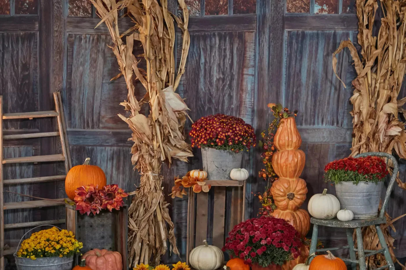 Pumpkin Patch 8X5 Ultracloth ( 96 X 60 Inch ) Backdrop