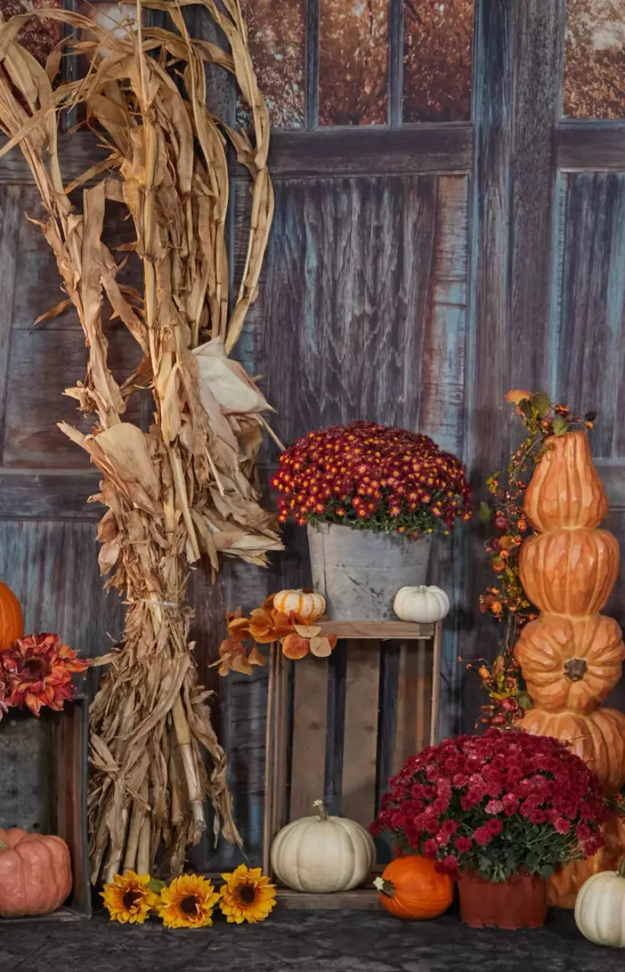 Pumpkin Patch 8X12 Ultracloth ( 96 X 144 Inch ) Backdrop