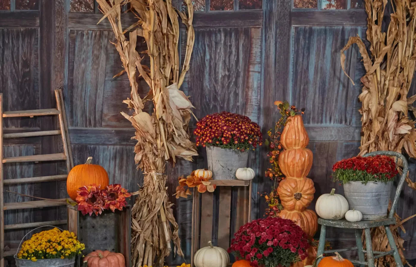 Pumpkin Patch 12X8 Ultracloth ( 144 X 96 Inch ) Backdrop