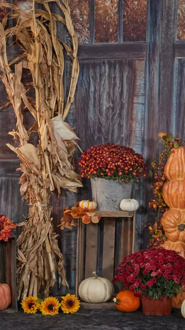 Pumpkin Patch 8X14 Ultracloth ( 96 X 168 Inch ) Backdrop