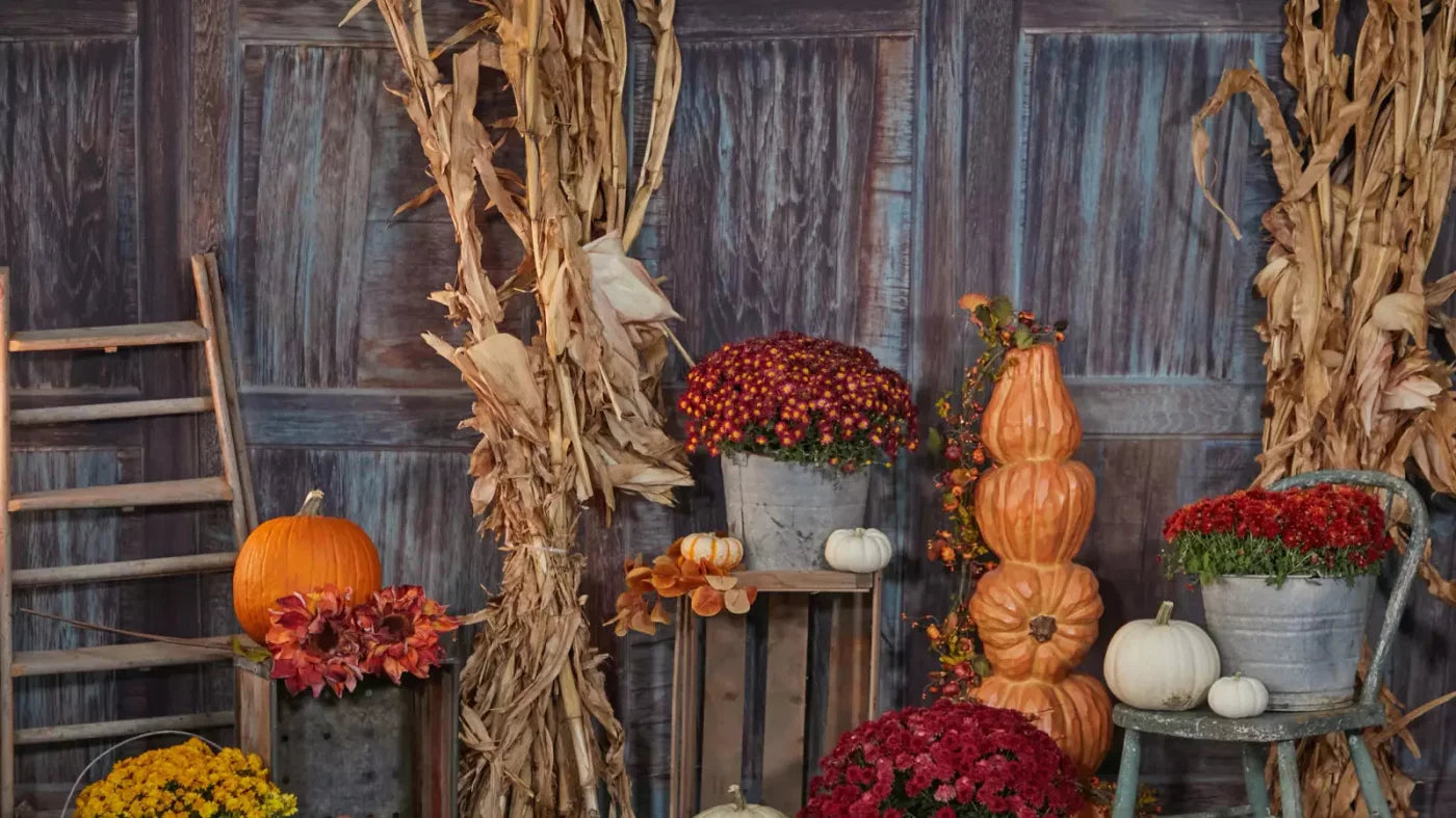 Pumpkin Patch 14X8 Ultracloth ( 168 X 96 Inch ) Backdrop