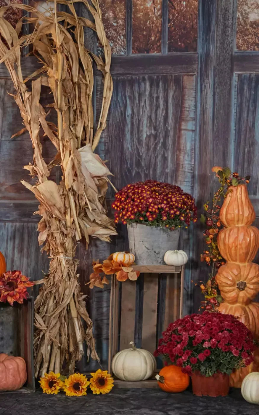 Pumpkin Patch 9X14 Ultracloth ( 108 X 168 Inch ) Backdrop