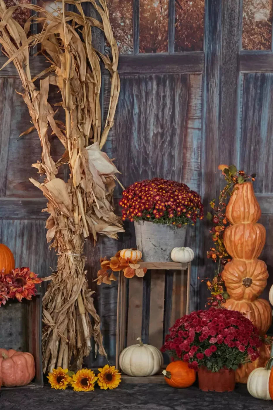 Pumpkin Patch Backdrop