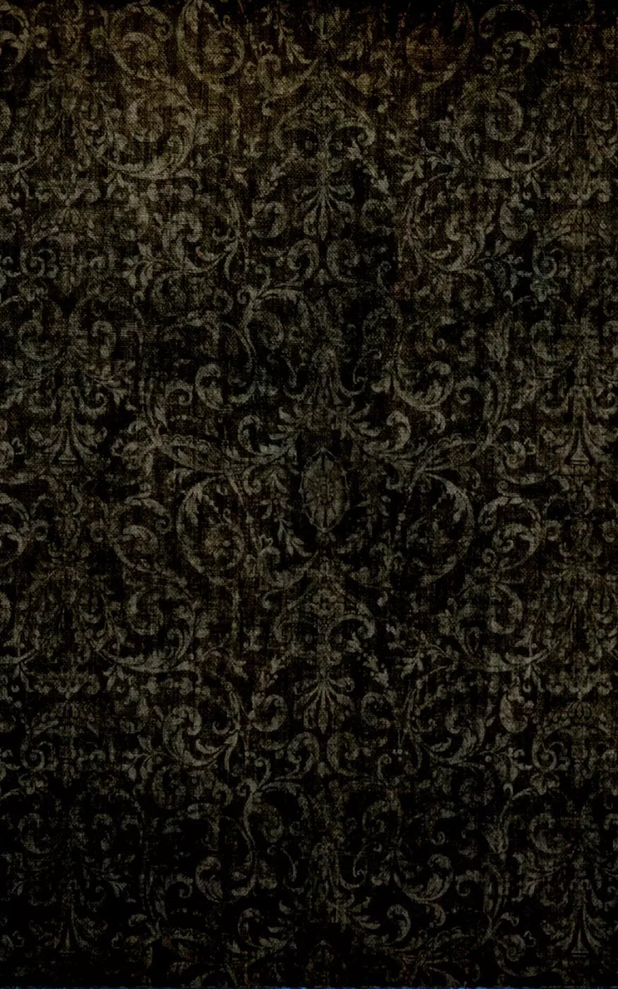 Mystic 9X14 Ultracloth ( 108 X 168 Inch ) Backdrop