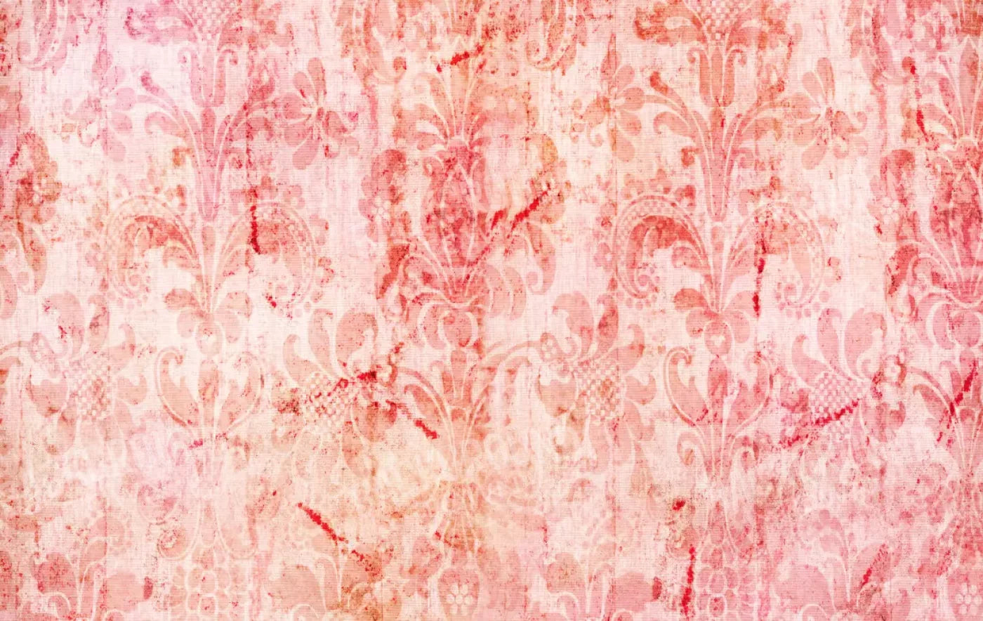 Nancy 16X10 Ultracloth ( 192 X 120 Inch ) Backdrop