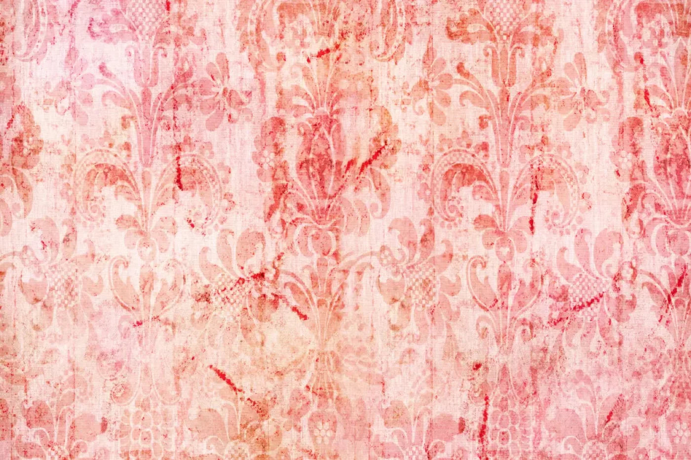 Nancy Backdrop