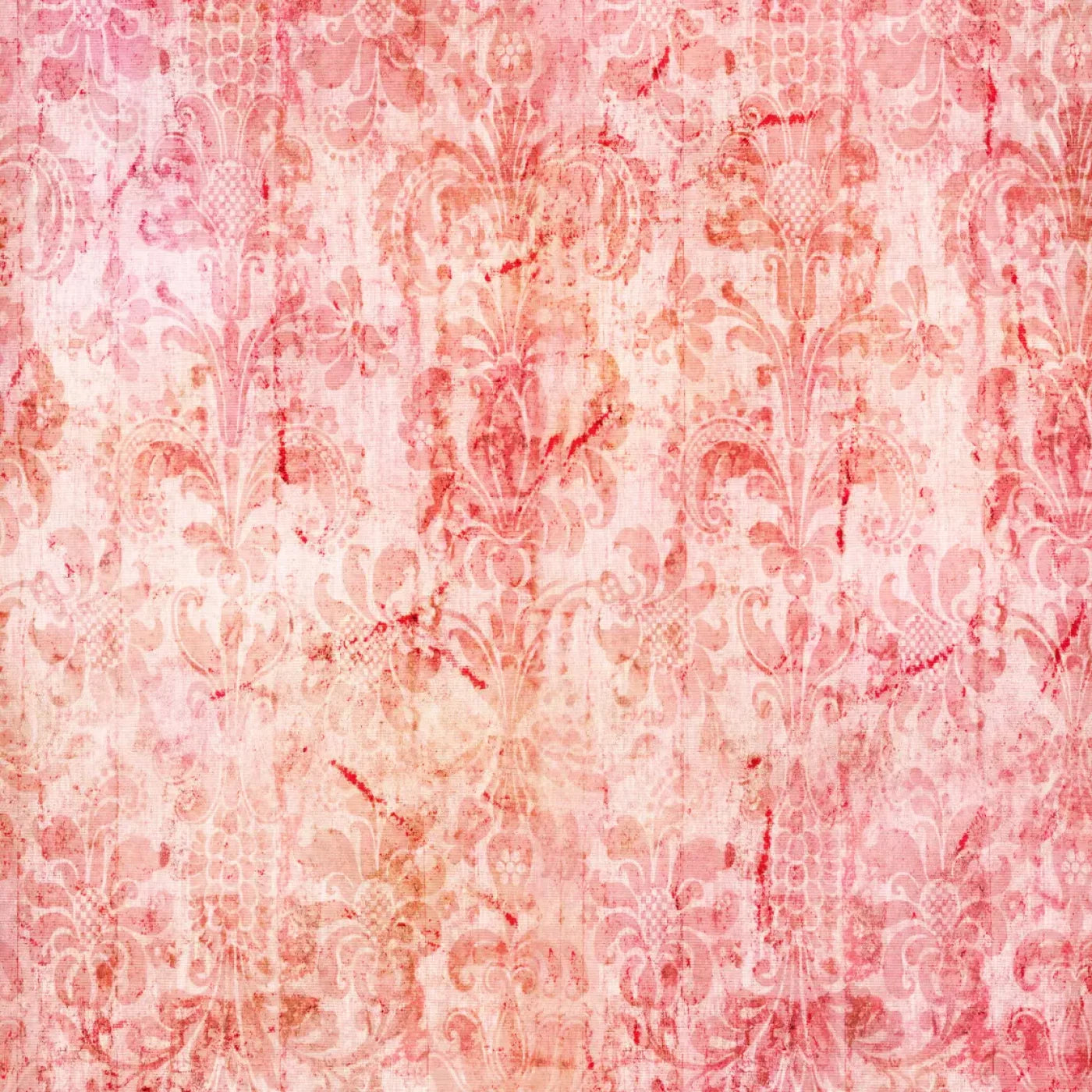 Nancy Backdrop