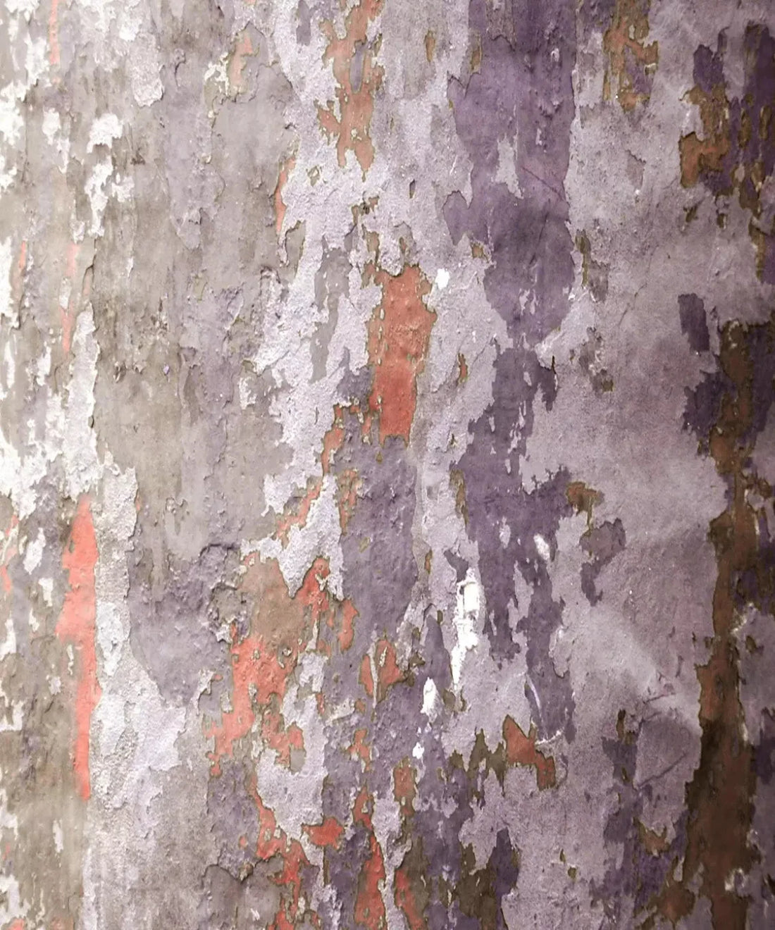 Purple Urban Grunge Backdrop for Photography