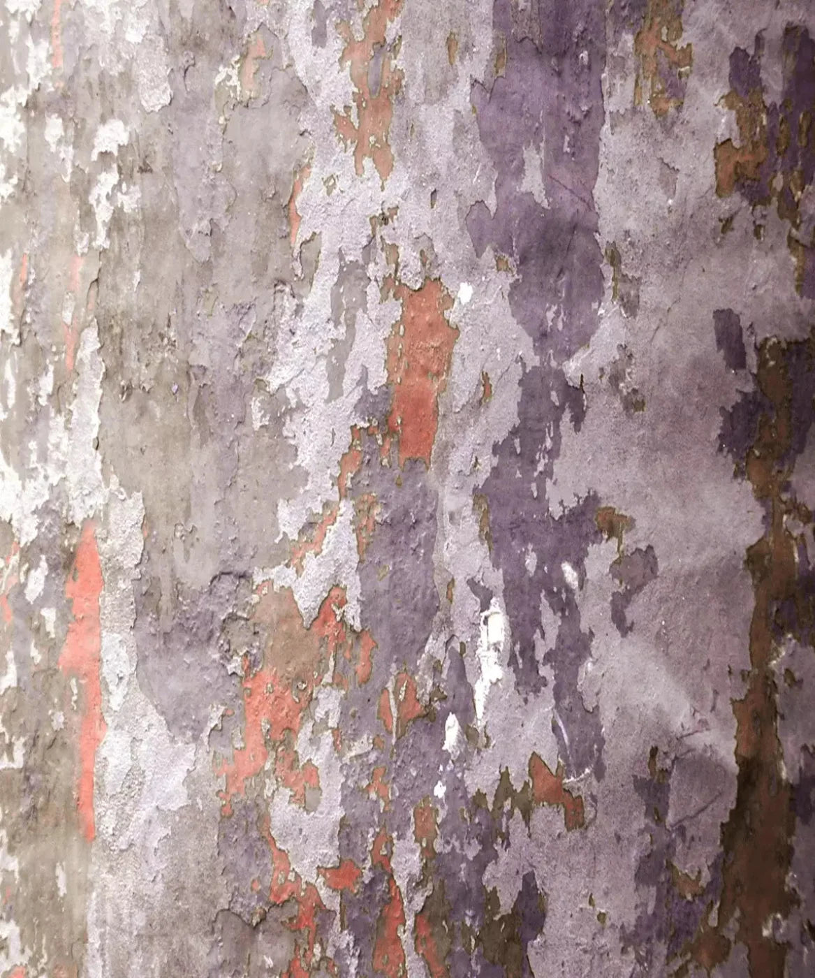 Purple Urban Grunge Backdrop for Photography