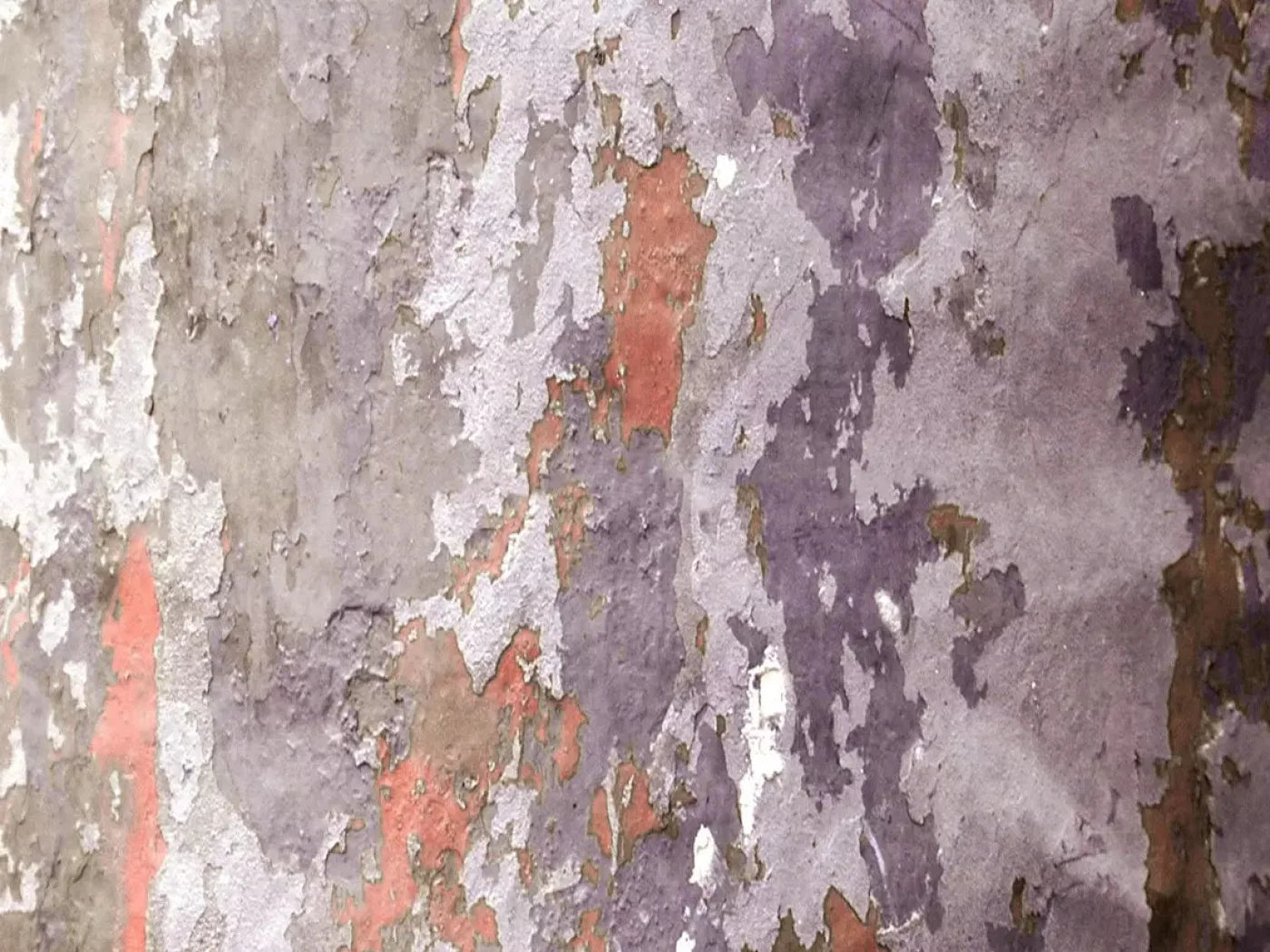 Nathan 68X5 Fleece ( 80 X 60 Inch ) Backdrop