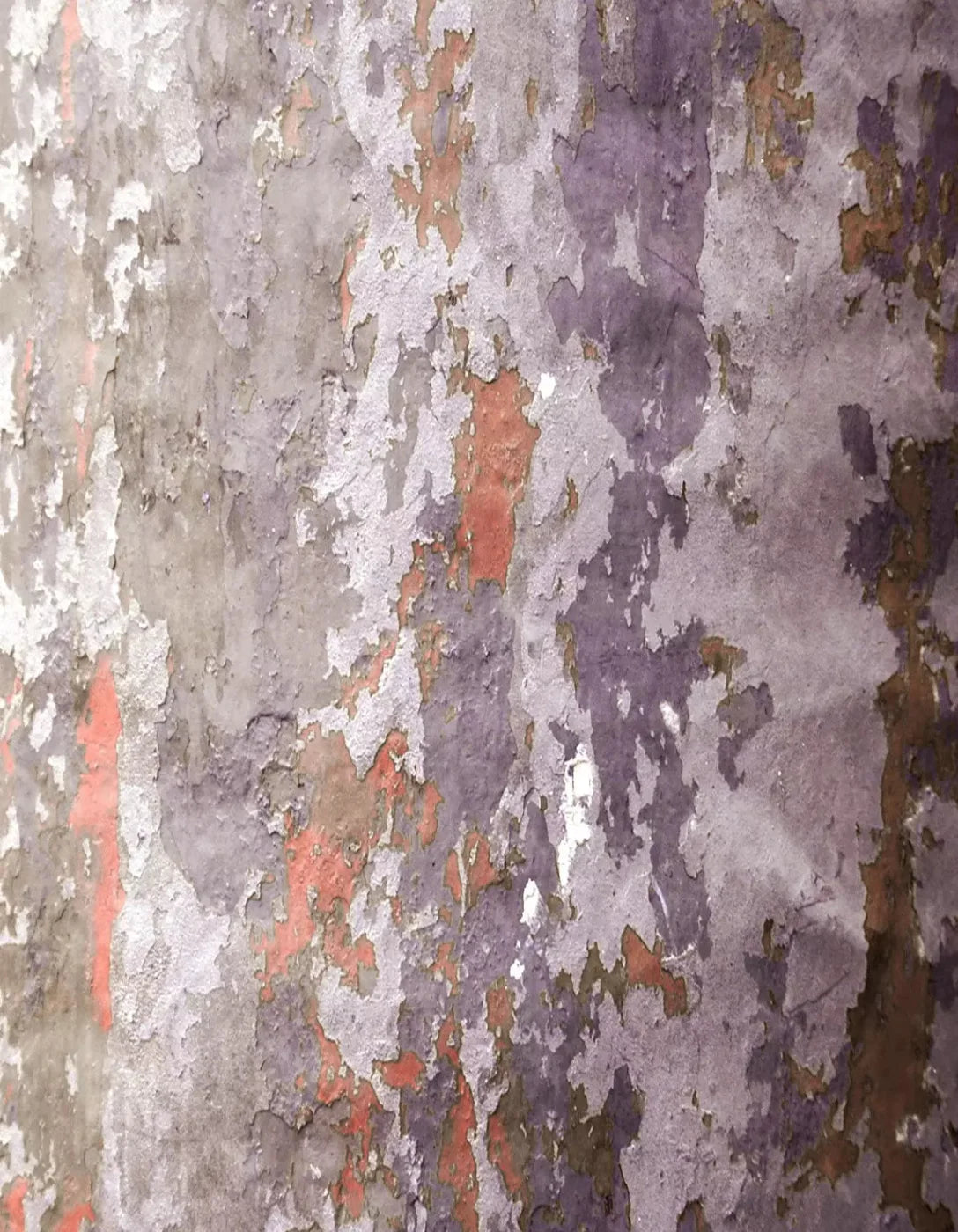 Nathan 6X8 Fleece ( 72 X 96 Inch ) Backdrop
