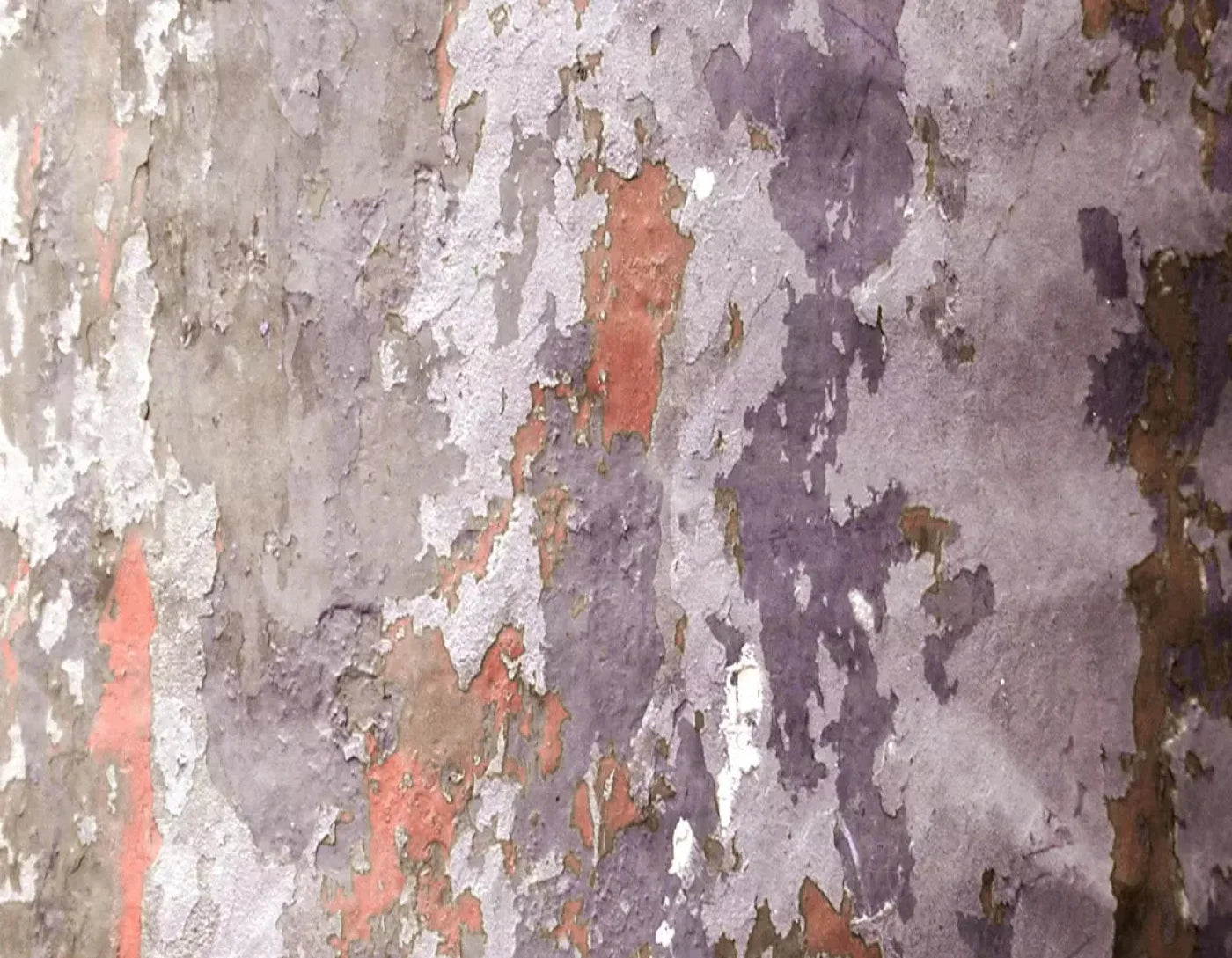Nathan 8X6 Fleece ( 96 X 72 Inch ) Backdrop