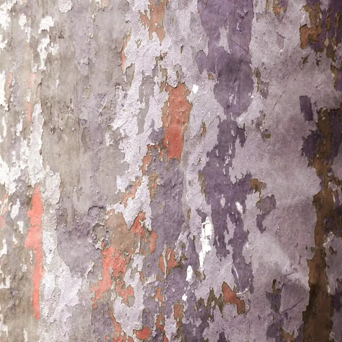 Nathan 8X8 Fleece ( 96 X Inch ) Backdrop