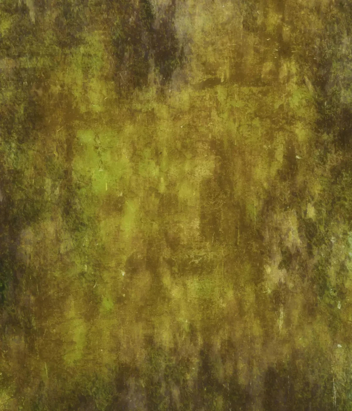Nature 10X12 Ultracloth ( 120 X 144 Inch ) Backdrop