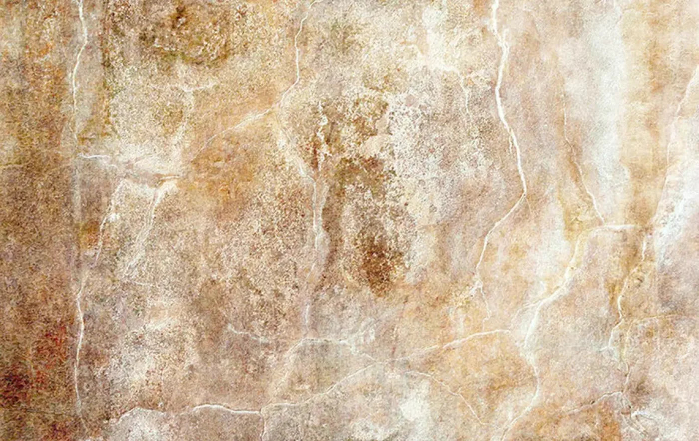 Neutral 16X10 Ultracloth ( 192 X 120 Inch ) Backdrop