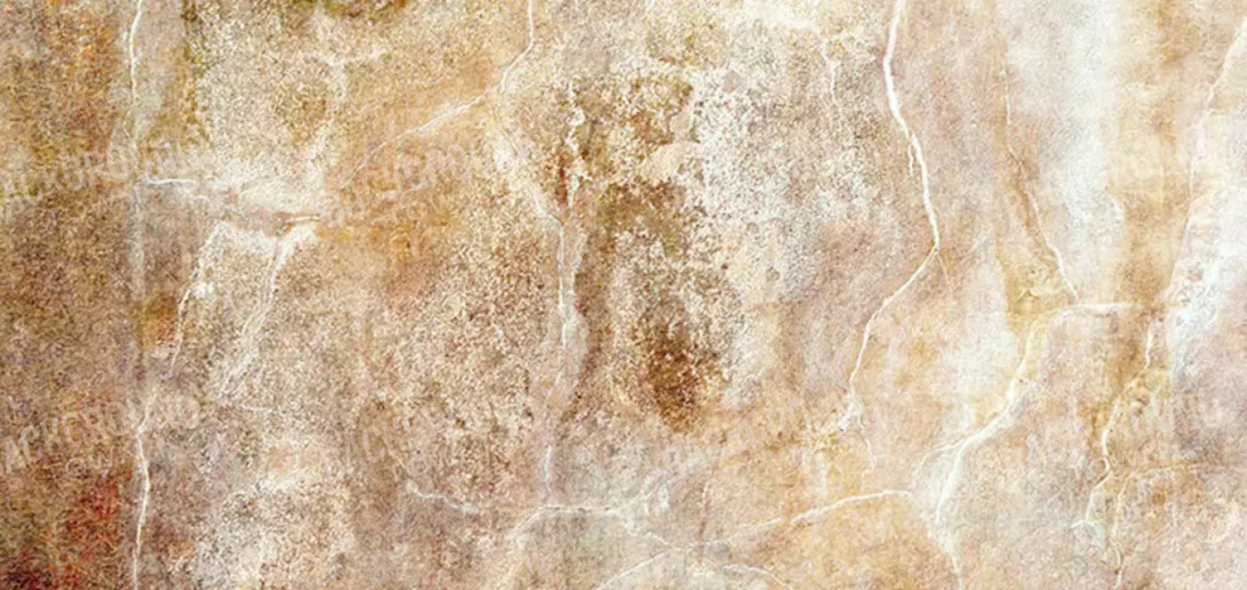 Neutral 16X8 Ultracloth ( 192 X 96 Inch ) Backdrop