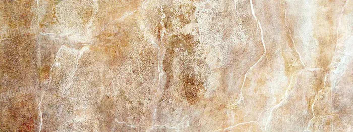 Neutral 20X8 Ultracloth ( 240 X 96 Inch ) Backdrop