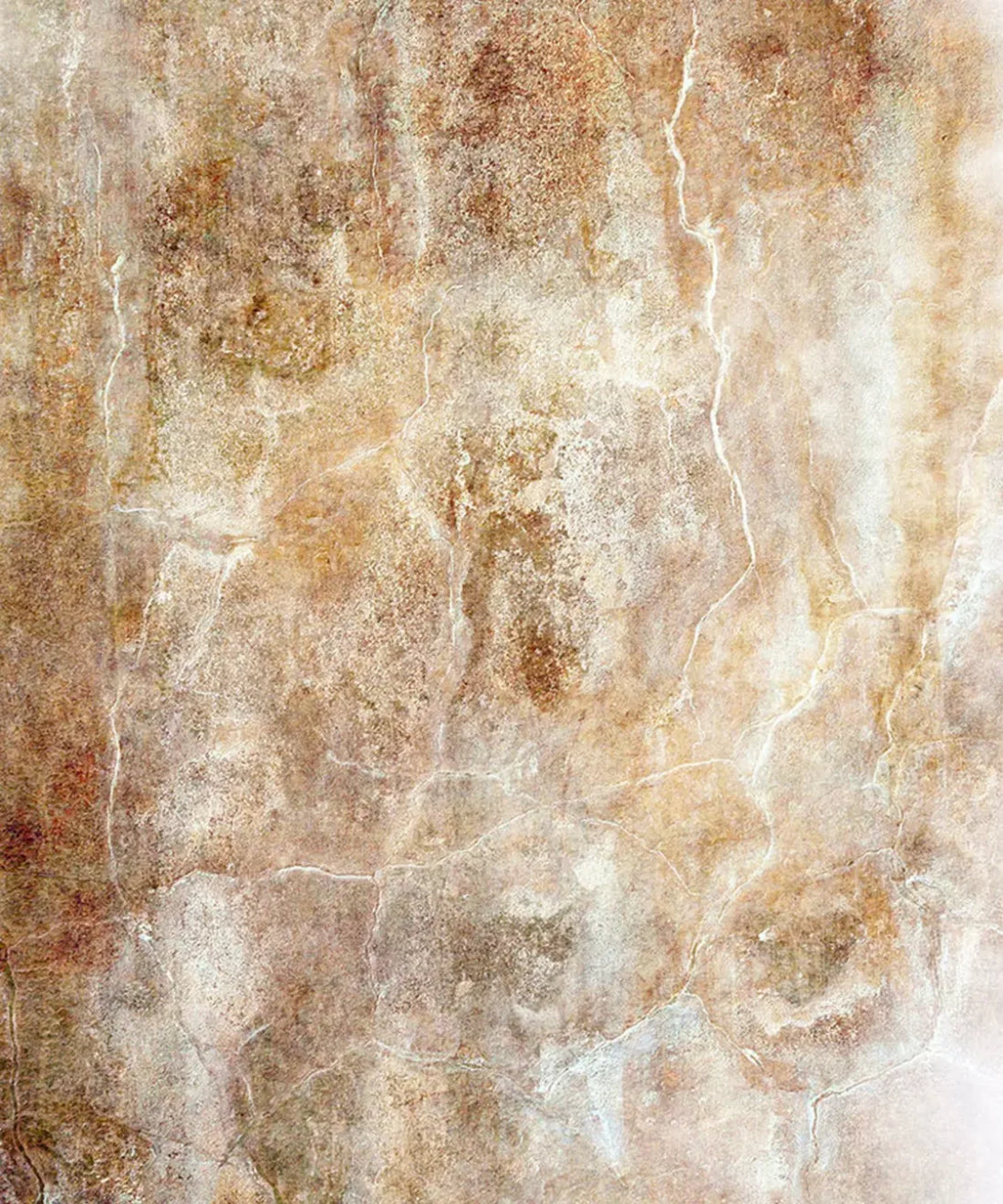 Beige Textured Backdrop for Photography